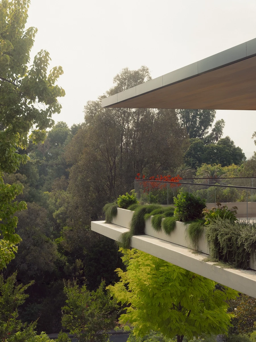 Hillside Residence